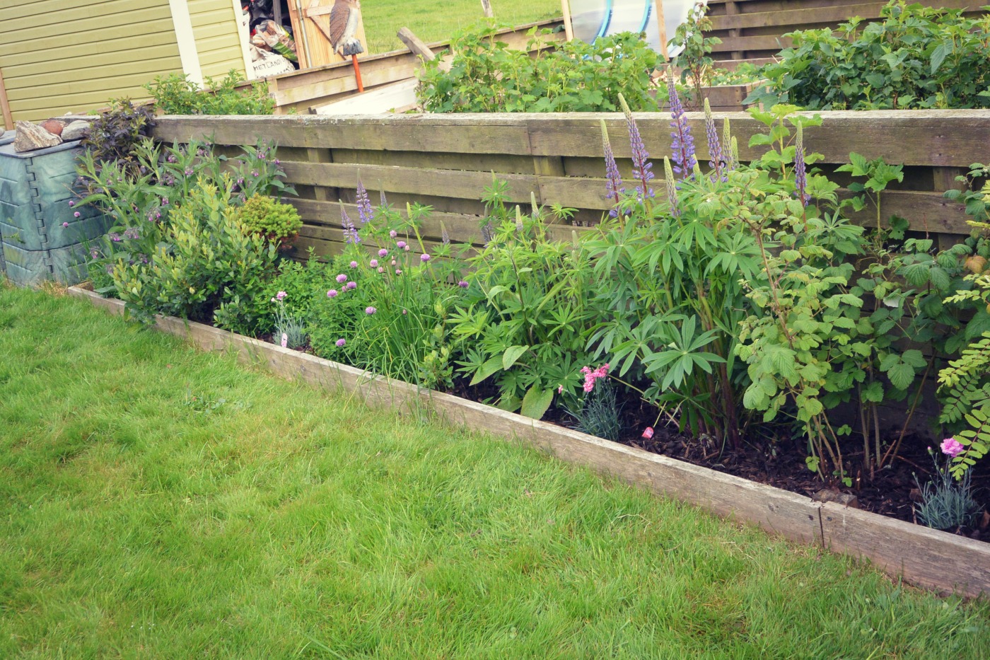 How To Start Growing Vegetables Start Small My Shetland Garden